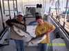 (03/15/2006) - Nice Striped Bass