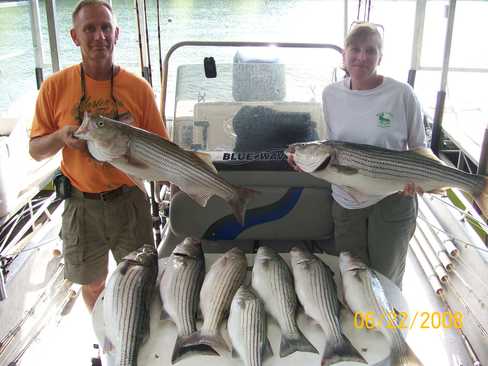 Nice Striped Bass