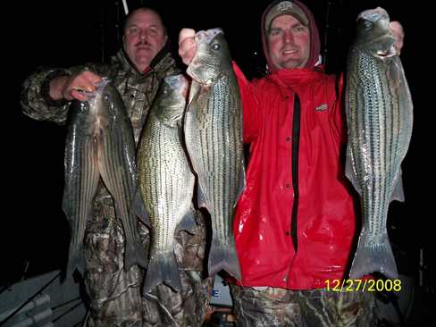 Nice Striped Bass