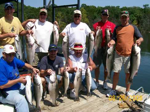 Nice Striped Bass