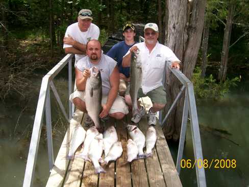 Nice Striped Bass
