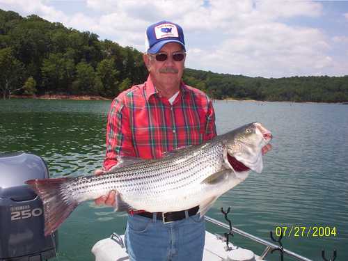 Nice Striped Bass