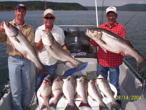 Nice Striped Bass