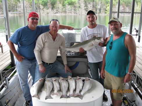 Nice Striped Bass