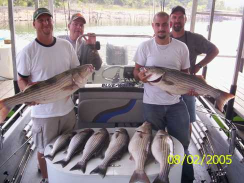 Nice Striped Bass