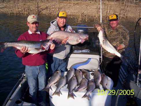 Nice Striped Bass