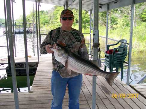 Nice Striped Bass