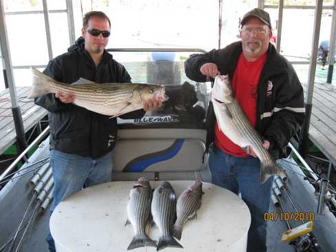 Nice Striped Bass