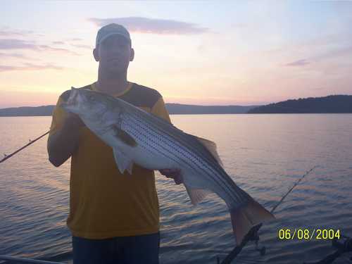 Nice Striped Bass