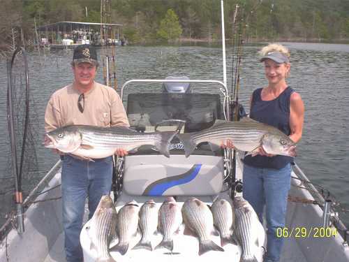 Nice Striped Bass