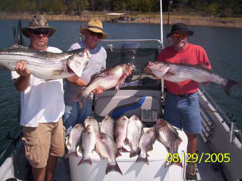 Nice Striped Bass