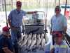 (09/15/2006) - Nice Striped Bass