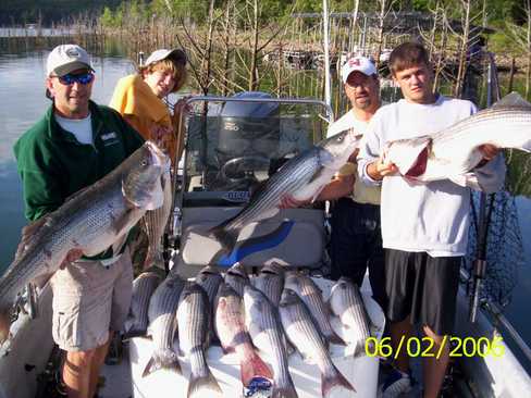 Nice Striped Bass