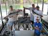 (08/04/2009) - Nice Striped Bass