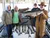 (10/19/2009) - Nice Striped Bass