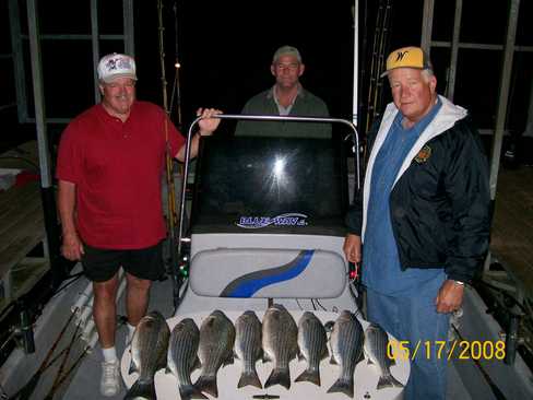 Nice Striped Bass