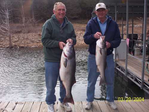 Nice Striped Bass