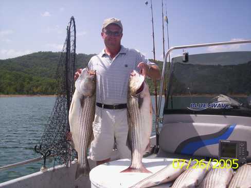 Nice Striped Bass