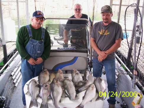 Nice Striped Bass