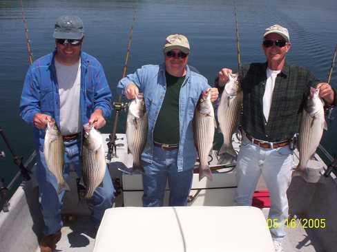 Nice Striped Bass