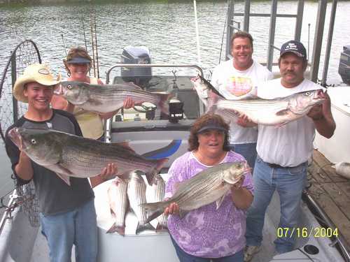 Nice Striped Bass