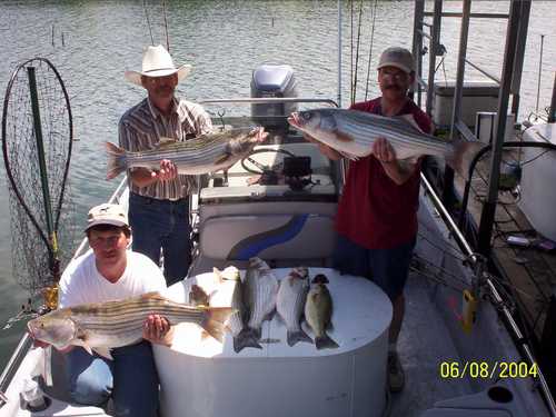 Nice mess of Stripers