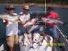 (08/29/2005) - Nice Striped Bass