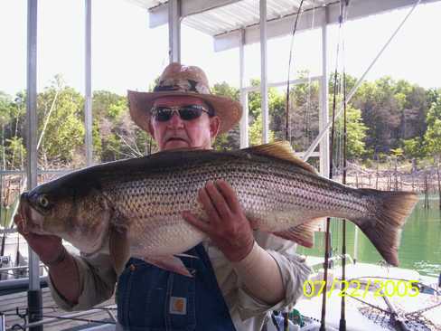 Nice Striped Bass