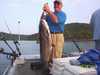 (08/24/2004) - Nice Striped Bass