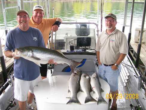 Nice Striped Bass