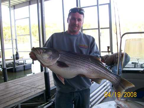 Now that is a Hog Striper