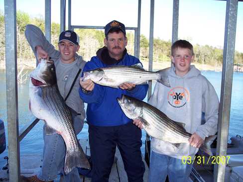 Nice Striped Bass