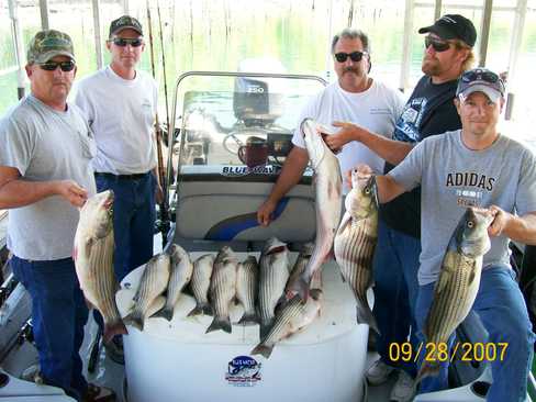 Nice Striped Bass