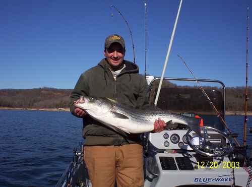 Nice Striped Bass