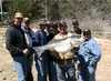 (04/04/2004) - Now that is a Hog Striper