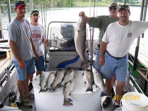 Nice Striped Bass