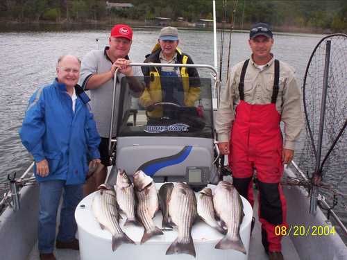 Nice Striped Bass