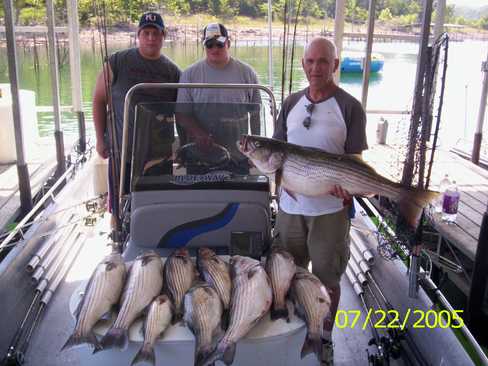 Nice Striped Bass