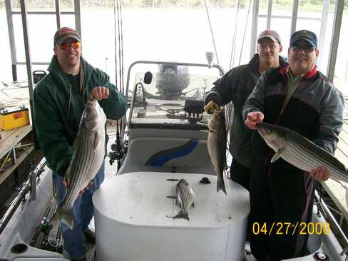 Nice Striped Bass