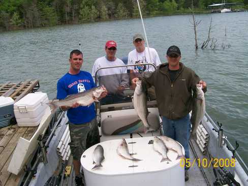 Nice Striped Bass