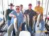 (10/04/2008) - Nice Striped Bass