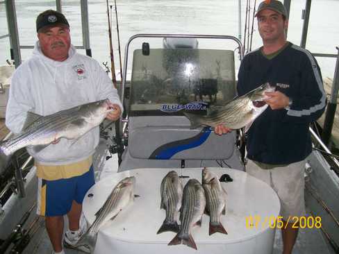 Nice Striped Bass