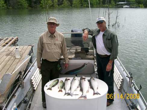 Nice Striped Bass