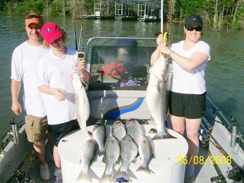 Nice Striped Bass