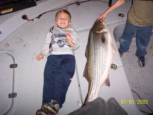 Nice Striped Bass