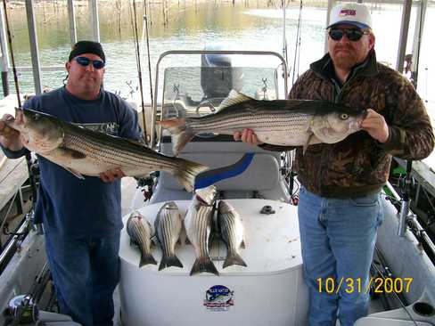 Nice Striped Bass