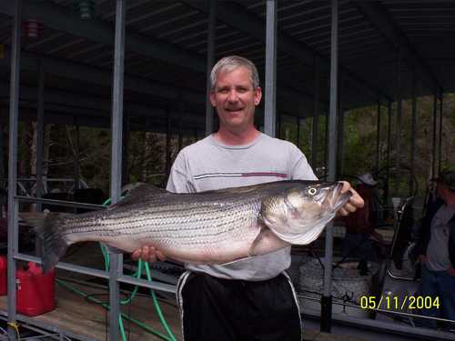 Now that is a Hog Striper