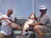 (07/10/2004) - Nice Striped Bass