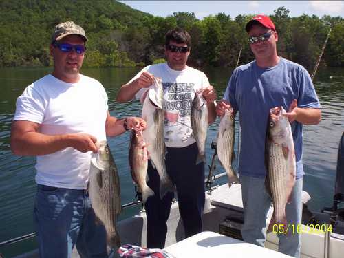 Nice Striped Bass