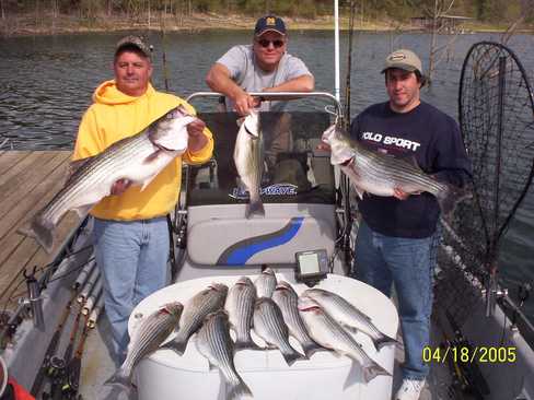 Nice Striped Bass